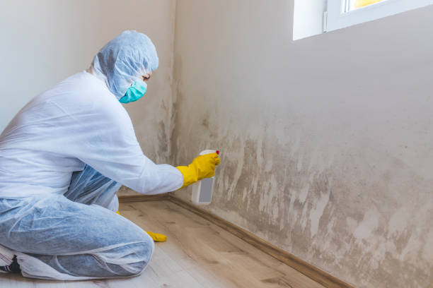 Hvac And Air Duct Mold Remediation inspection of HVAC system in Rockwood